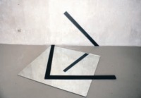 In the Mirror of Reality